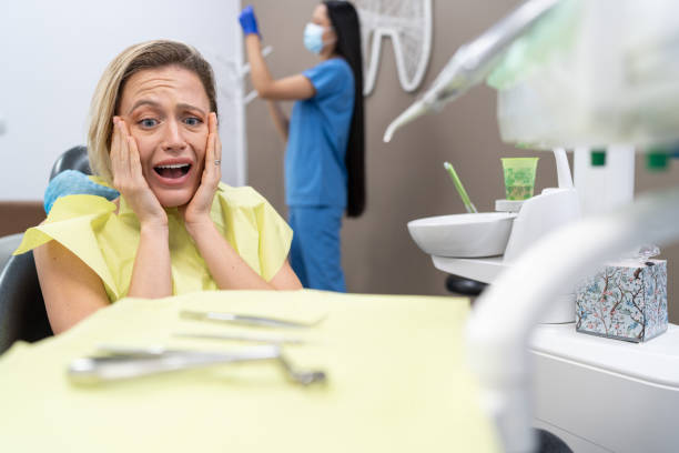 Best Urgent Dental Care in Shafer, MN